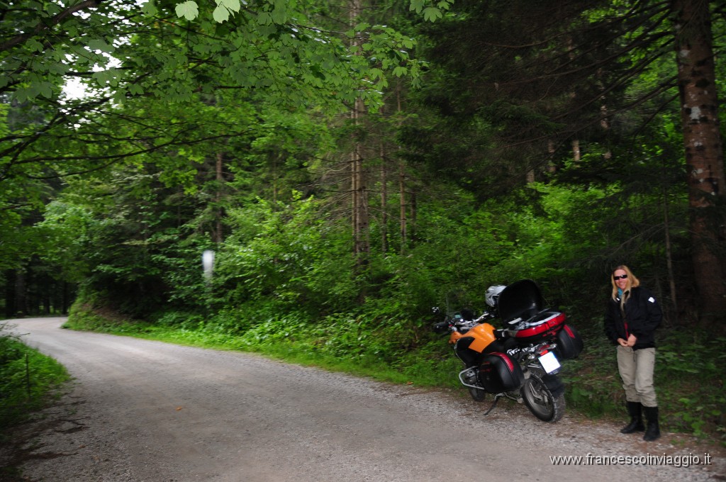 40 km off road nel bosco 2011.07.30_2.JPG